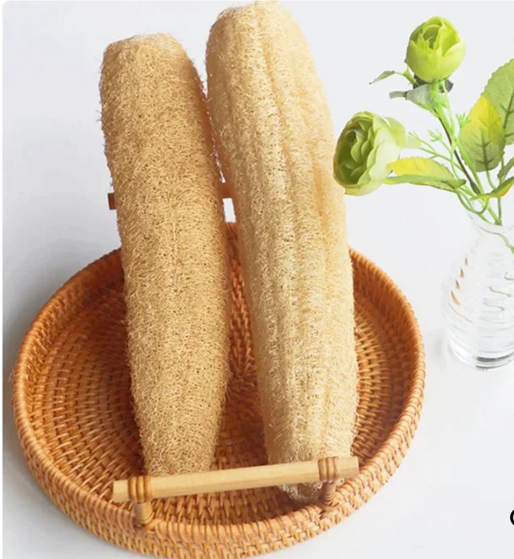 Natural Loofah Sponge